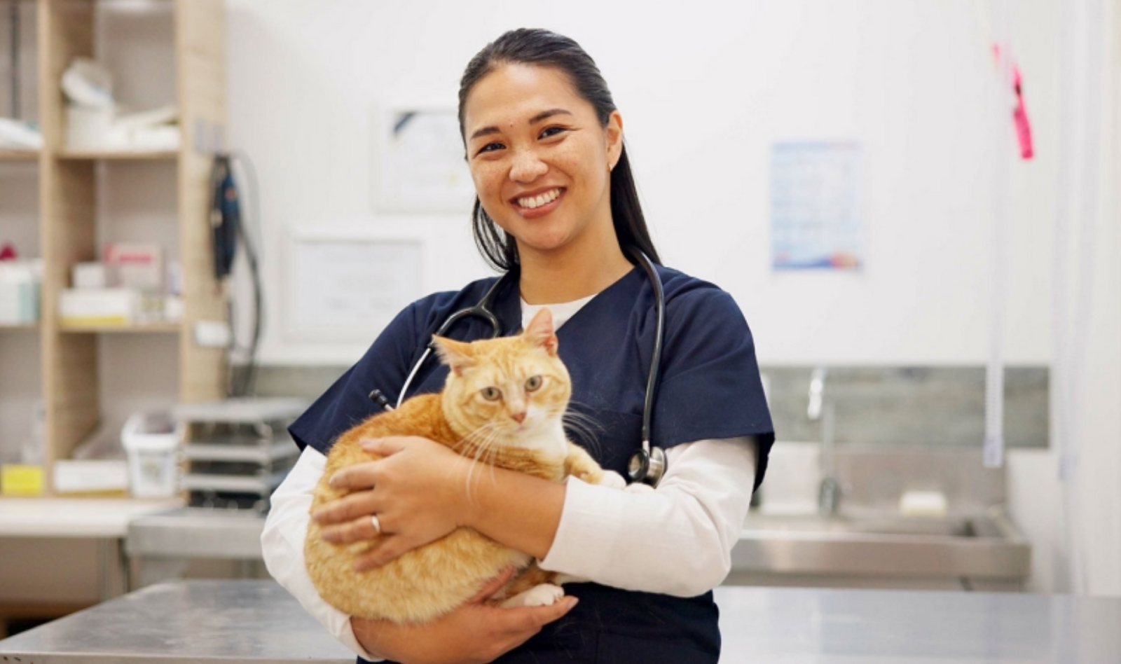 100% of Cats Rely on Dietary Taurine - Cats cannot produce taurine on their own.