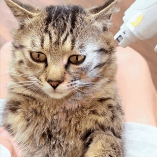 Smooth & Shape with the Grinder