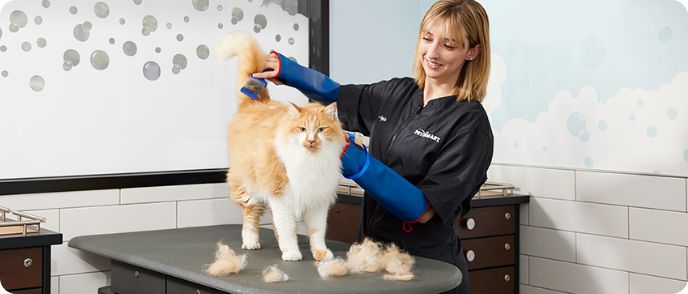Selected By Pet Groomers All over North America and Europe